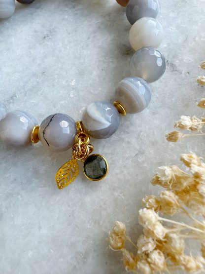 Achat "Amazing Greys" – Bild 3